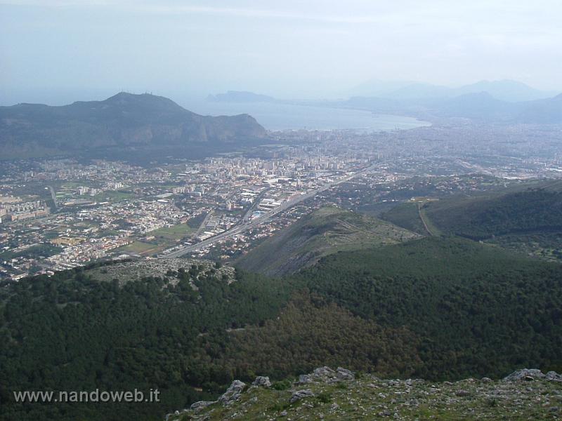 PALERMO 1.JPG
